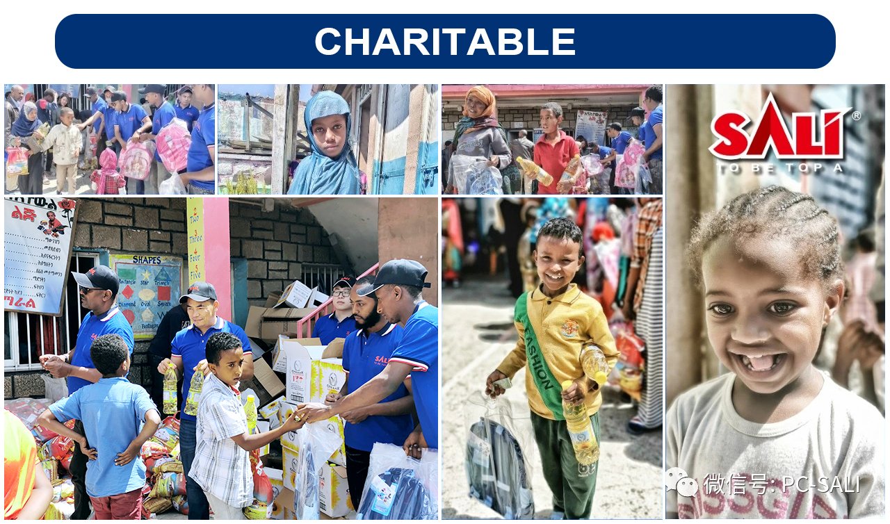 مجموعة مفكات البراغي المغناطيسية SALI PH 2 6 * عمود Cr-V مقاس 100 مم بمقبض PP