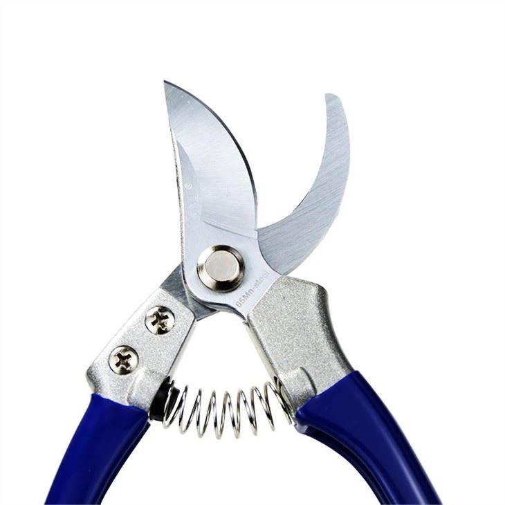 حديقة مقصات أداة التقليم