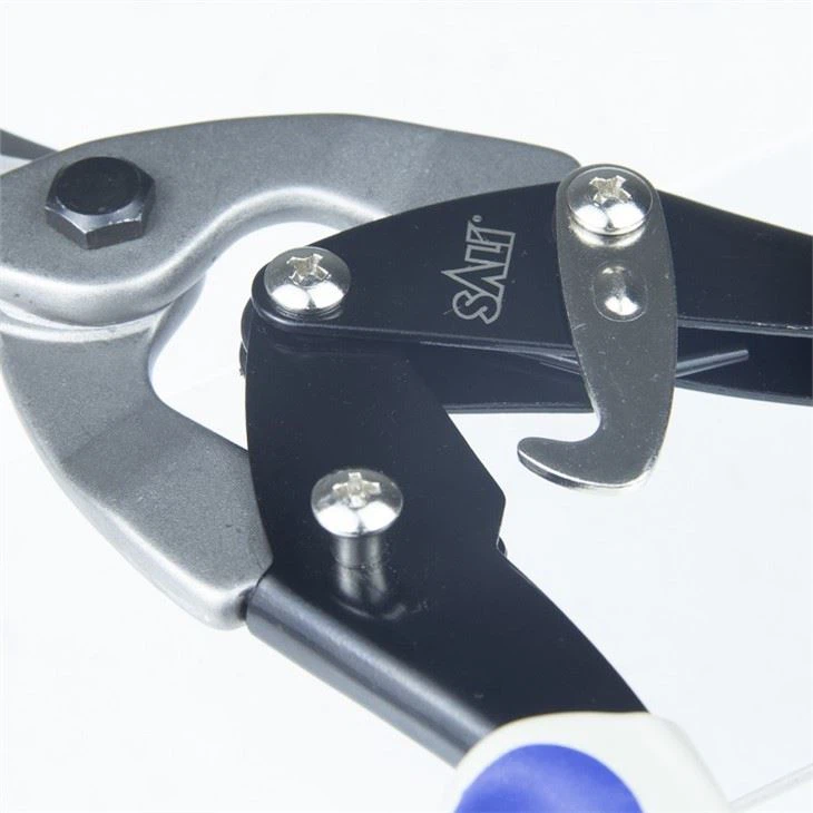 سالي للطيران قصاصة