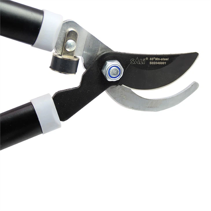 سالي مقبض حديد تلسكوبي مزدوج اللون مقص فرع سميك