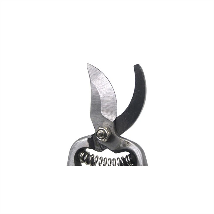 قلم تقليم بمقبض خشبي 8 بوصة