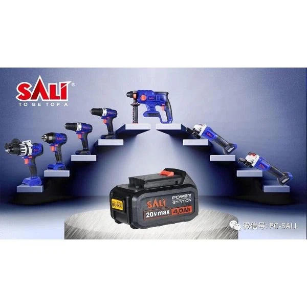 بطارية الأسد مع محول الشحن