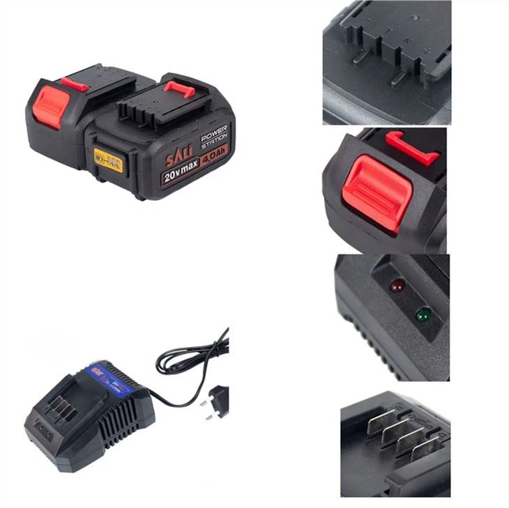 بطارية الأسد مع محول الشحن