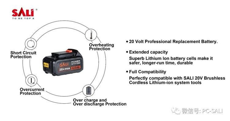 بطارية الأسد مع محول الشحن