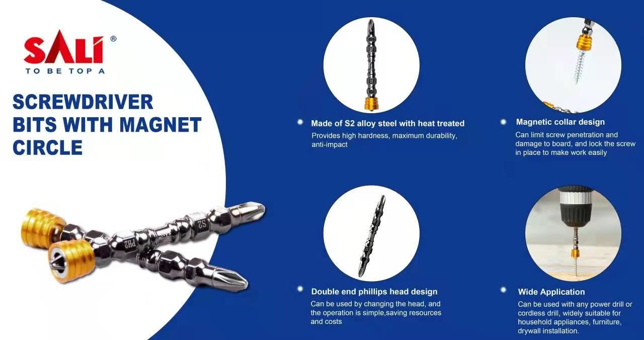 SALI Screwdriver Bits With Magnet Circle (6)