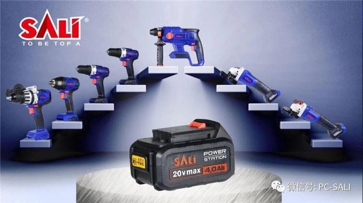 بطارية الأسد مع محول الشحن